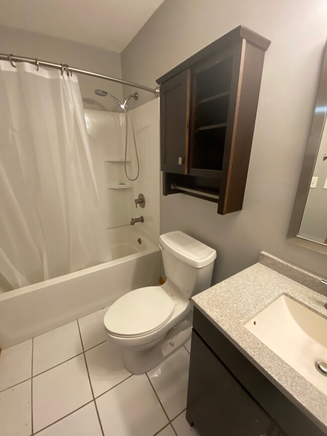 Master Bath - 209 Stafford Ave