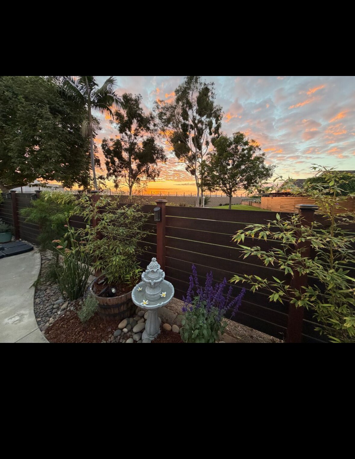 Building Photo - 804 Caminito Azul