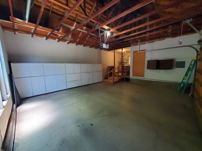 Building Photo - 3113 Lippizaner Ln