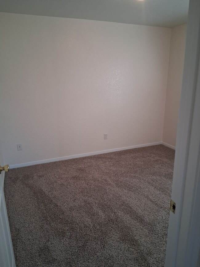 Building Photo - New Carpet & Paint