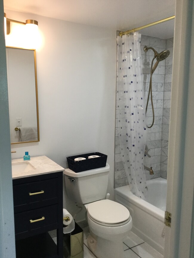 Guest Bath-New Vanity - 1541 S Ocean Blvd