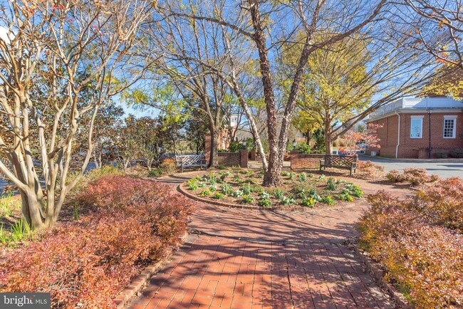 Building Photo - 11244 Blue Ridge Ct