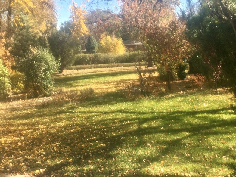 Fall pictures of property - 555 Saulsbury St