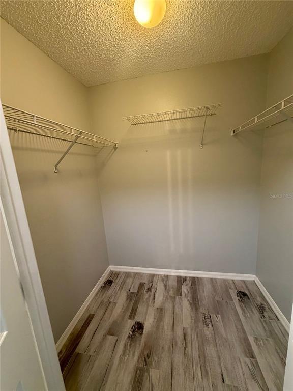 Building Photo - 251 Rhapsody Ln