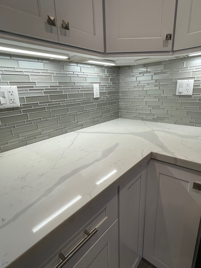 under cabinet lighting with quartz counter top, self closing cabinets - 7524 Fountain Ave