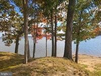 Building Photo - 11003 Bowerman Rd