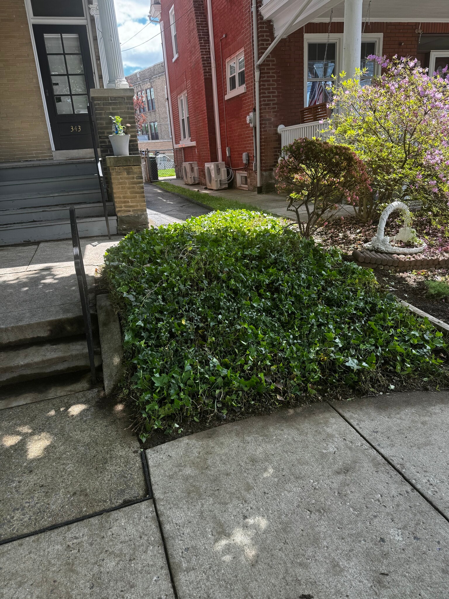 Building Photo - 343 College Ave