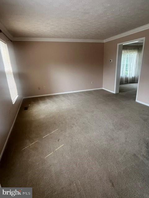 Building Photo - 2306 Alava Ct