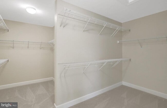 Building Photo - 3803 Bell Manor Ct