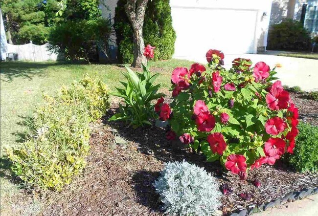 Building Photo - 5908 Solitude Way