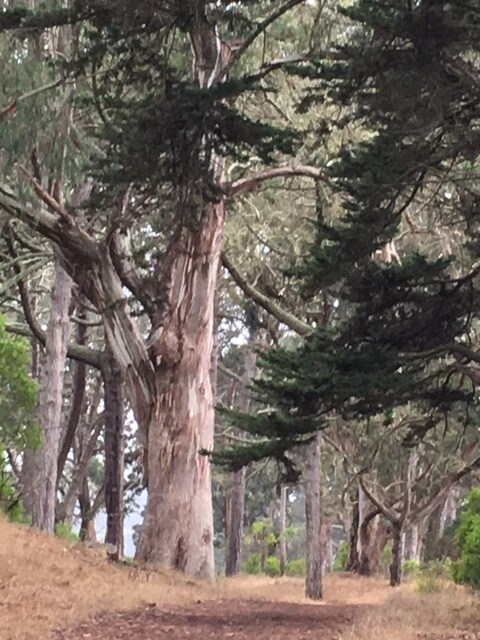 Building Photo - 5450 Fulton St