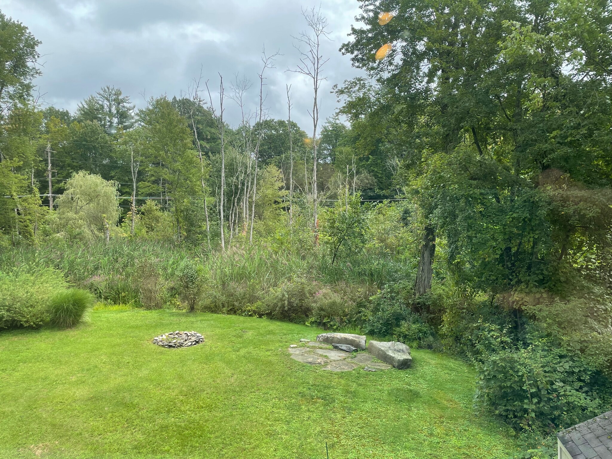 View out back windows - 8 Coleman Rd