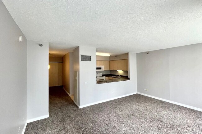 Building Photo - 512 N McClurg Ct