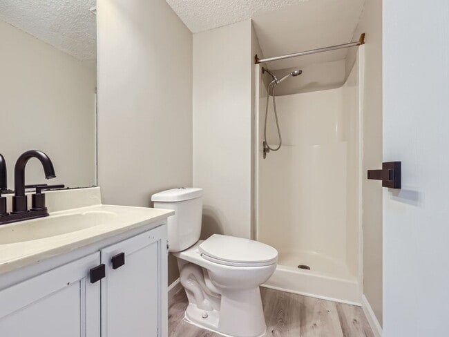 Building Photo - Blaine 4 Bedroom Townhome