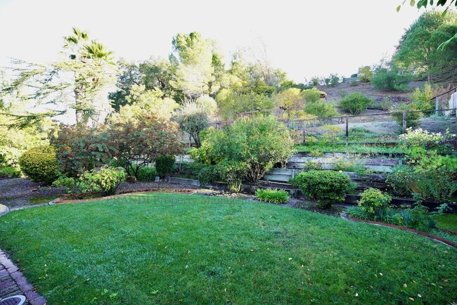 Building Photo - Loma Verde Home with Spacious Backyard, Great Neighborhood!