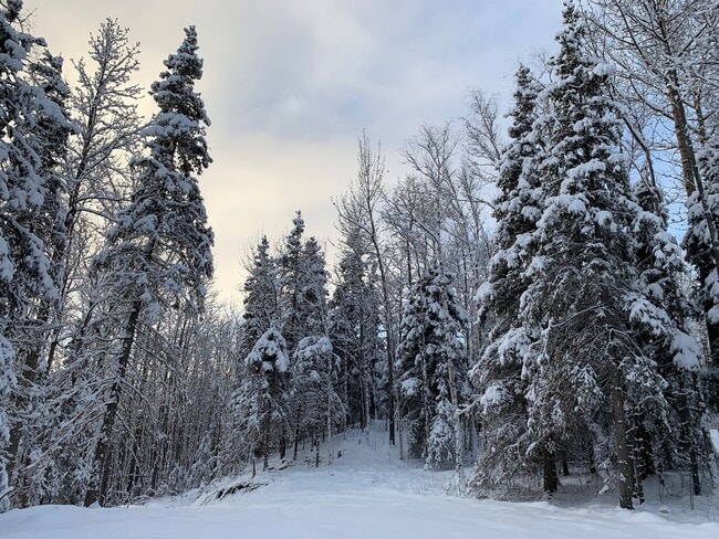 Building Photo - 1 Bedroom/1 Bathroom -- Fantastic Palmer Location!