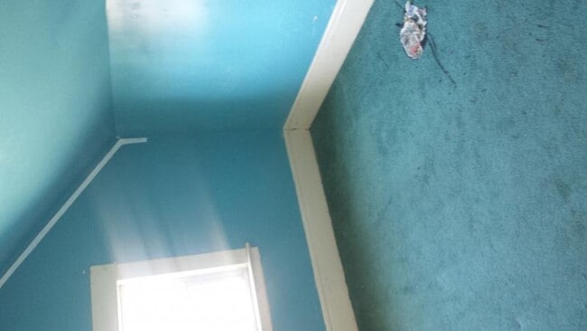 Building Photo - 503 E Utica St