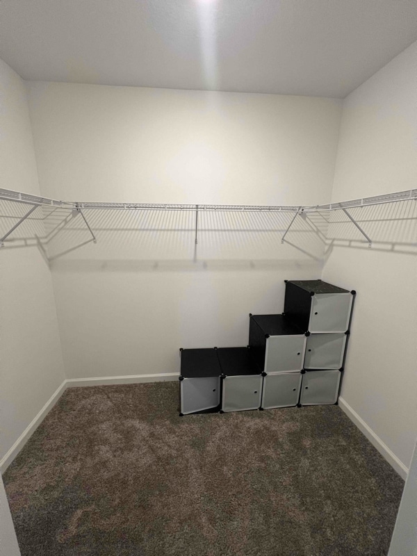 Building Photo - 3141 Laurent Lp