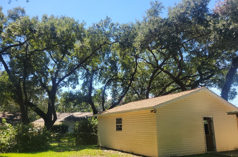 Building Photo - 6590 Dewrell Square