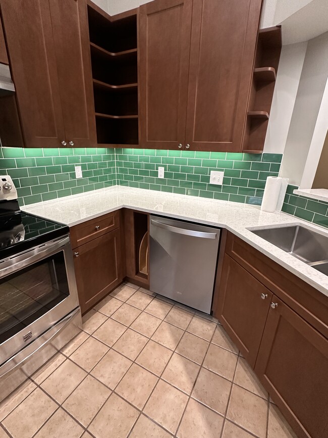 Induction stove, dishwasher, and undermount sink - 2912 Lake Pineloch Blvd