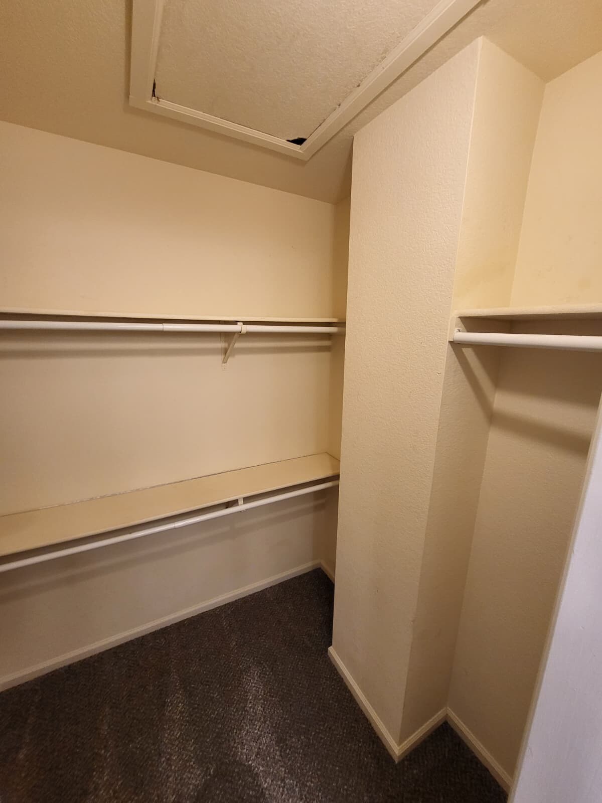 Master Closet - 2704 Breckenridge PL