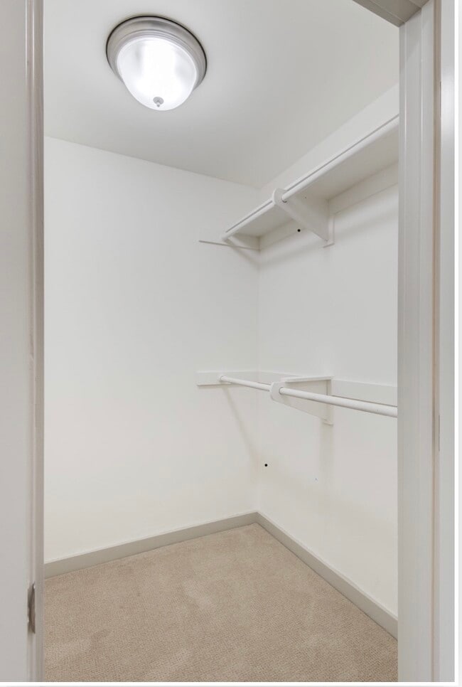 Walk in Closet - 8500 Falmouth Ave