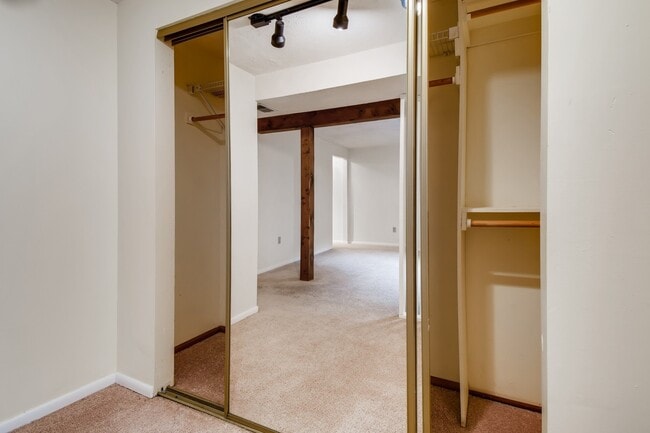 Master bedroom closet - 415 Lilac Ct