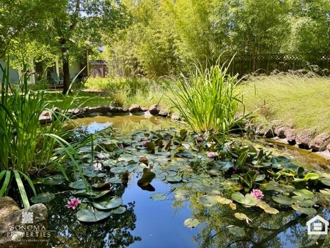 Building Photo - Inviting 3BD/2BA Home in Glen Ellen
