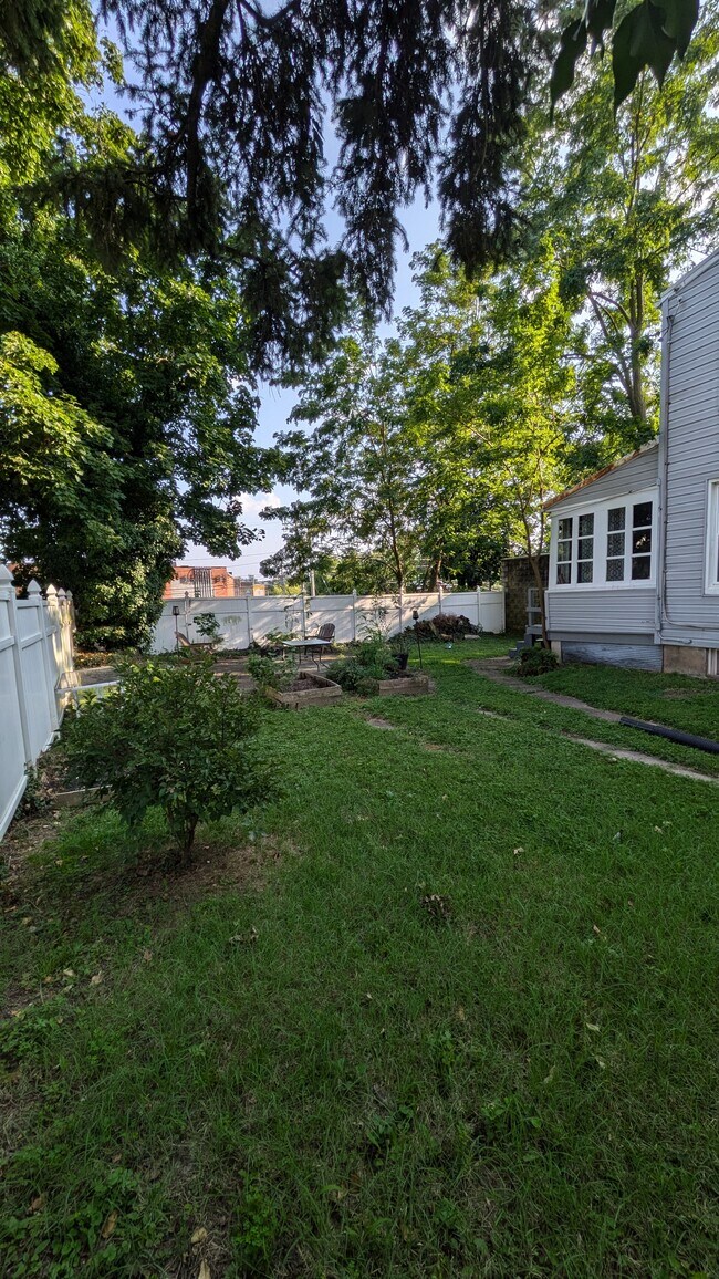 Awesome shared outdoor space - 411 Lyman Ave