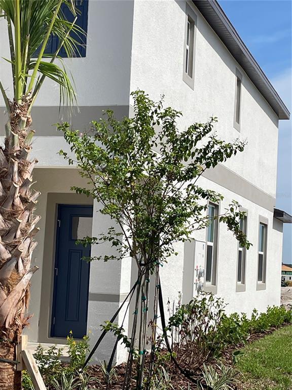 Building Photo - 32077 Powderpuff Mimosa Dr