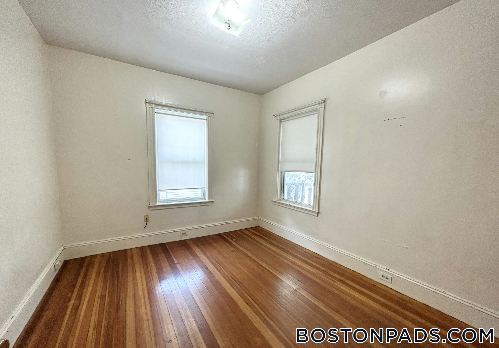 Building Photo - 74 Romsey St