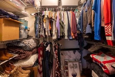 Building Photo - Available mid January!