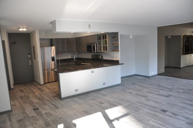 Building Photo - 1000 N Lake Shore Dr