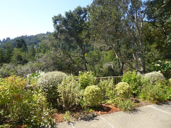 Building Photo - SPACIOUS AND SECLUDED THREE BED / TWO BATH HOME IN ROSS WITH POOL