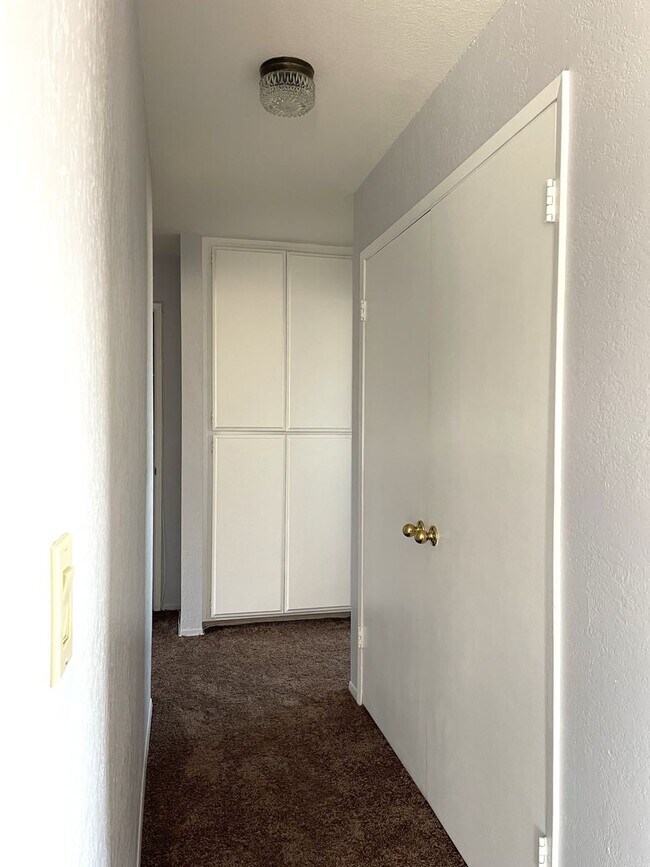 Building Photo - Open and Spacious 2 Bedroom, 1 Bathroom Apartment in San Pedro