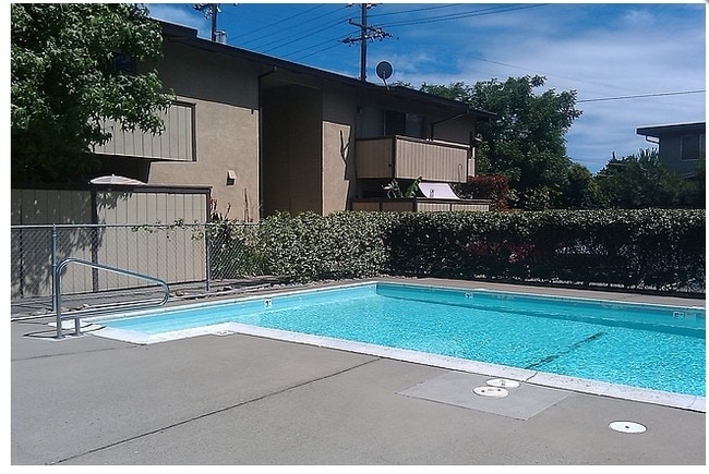 Pool - Burgundywood