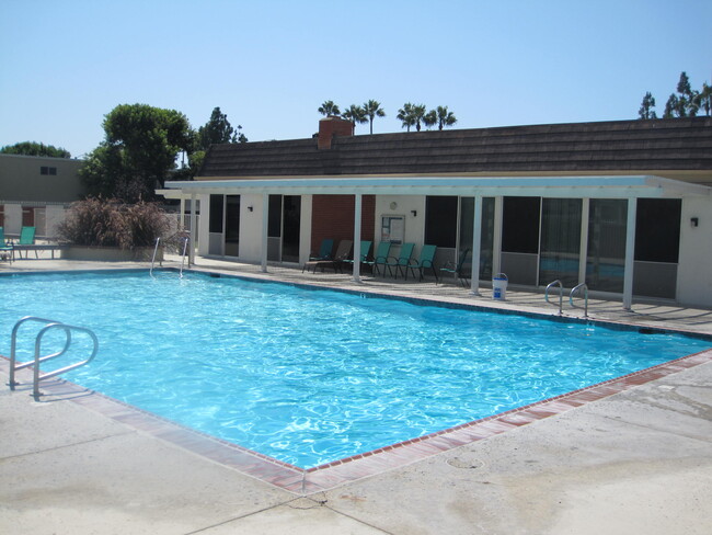 LARGE SWIMMING POOL - 10071 San Juan Ct