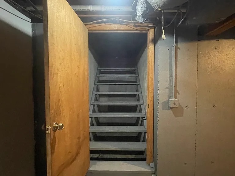 Bulkhead stairs leading to backyard - 9 Gillan Ave