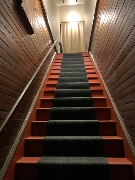Front Entrance Stairs - 91 Park St