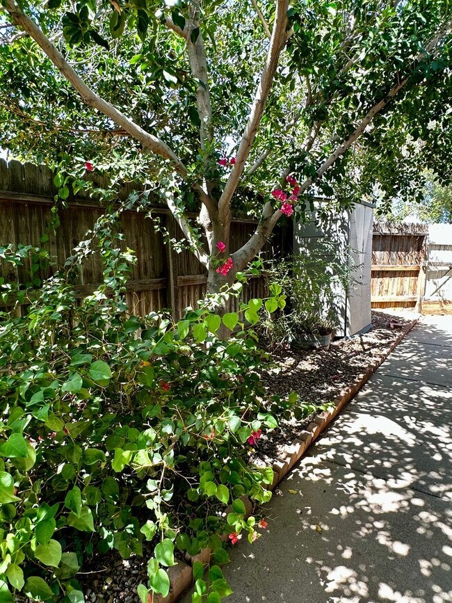 Building Photo - UPDATED 3 BEDROOM 2 BATHROOM CONVENIENTLY ...
