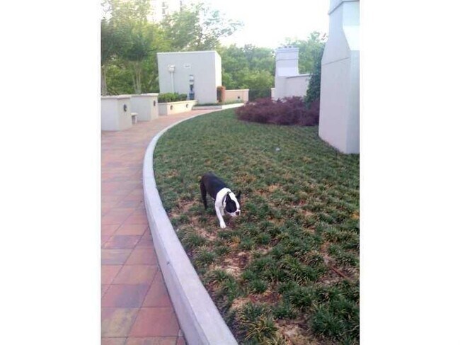 Building Photo - 222 12th St NE