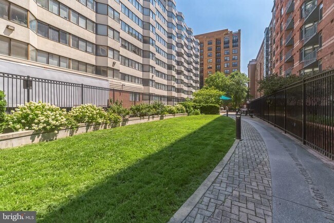 Building Photo - 1117 10th St NW