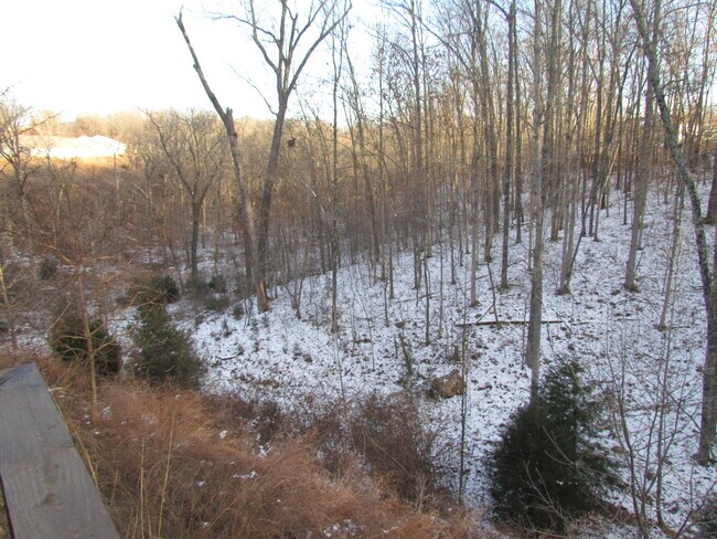 Building Photo - 15908 Tracker Ln