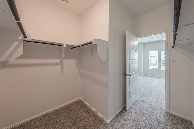 Building Photo - 3113 Pecan Farm Ln