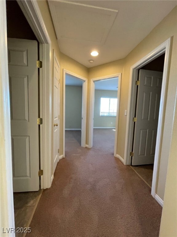 Building Photo - 275 Red Eucalyptus Dr