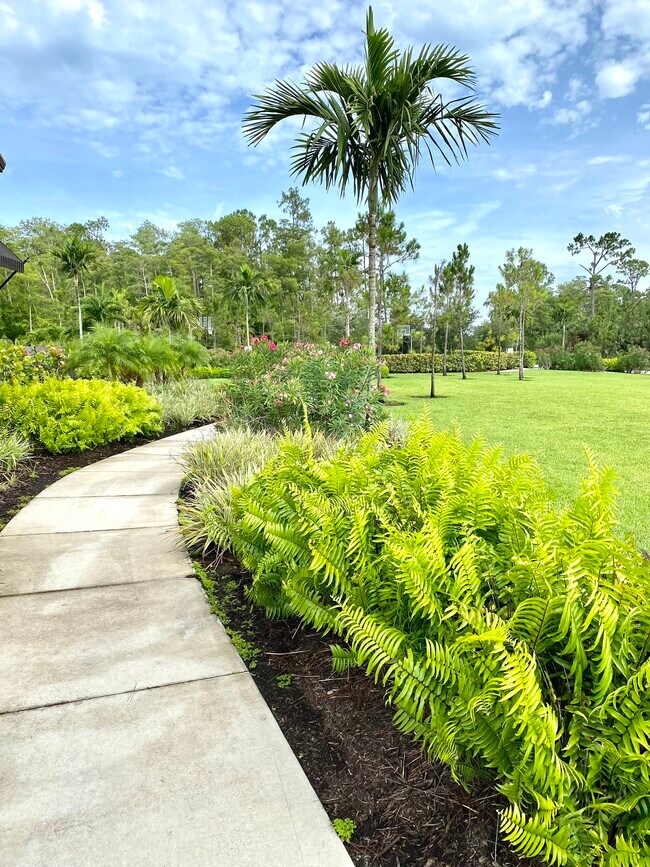 Building Photo - 4373 Madagascar Palm Way