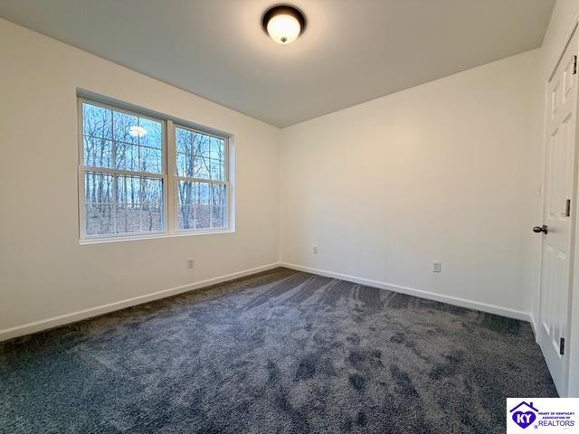 Building Photo - 1341 Brizendine Ln