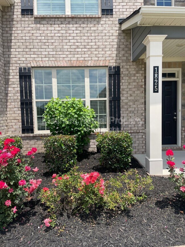 Building Photo - 1825 Dahlia Dr