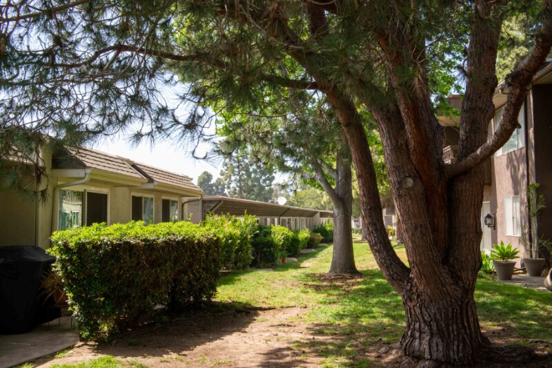 Building Photo - 6380 Caminito Telmo