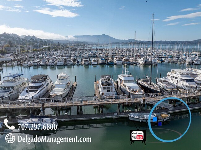 Building Photo - Sausalito living in this 2bd/2ba hillside ...